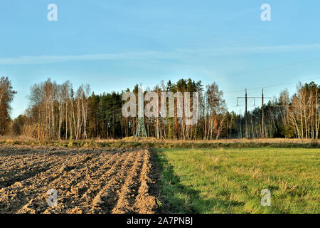 Paysage campagnard de terres arables champ avec focus sélectif. Automne fond with copy space Banque D'Images