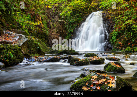 Cascade Glenoe en automne le comté d'Antrim, en Irlande du Nord Banque D'Images