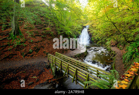 Cascade Glenoe en automne le comté d'Antrim, en Irlande du Nord Banque D'Images