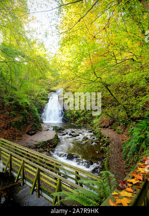 Cascade Glenoe en automne le comté d'Antrim, en Irlande du Nord Banque D'Images