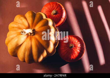 Stock photo d'une citrouille sur un fond brun avec place pour le texte. Citrouilles saisonniers variétale. Banque D'Images