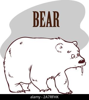 Funny cartoon illustration stock ours Illustration de Vecteur