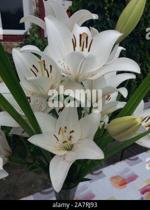 Bouquet de lys l'eyeliner Banque D'Images