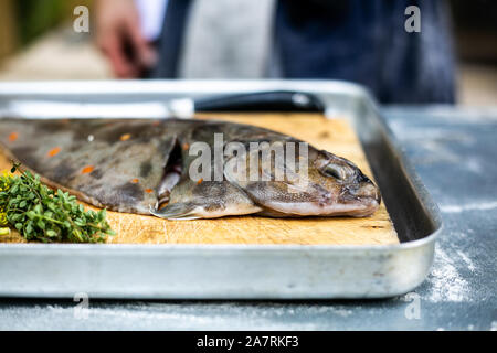 Loup de mer fraîchement préparé Banque D'Images