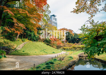 Jardin Koishikawa Korakuen à l'automne à Tokyo, Japon Banque D'Images