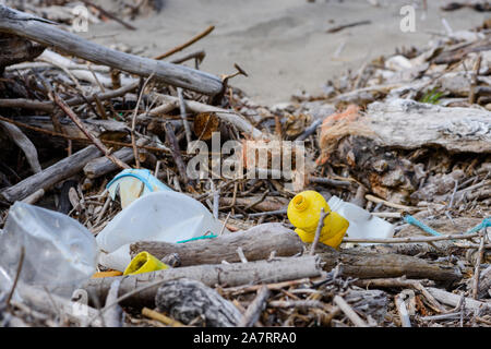 La pollution plastique dans la dérive de débris de bois sur la rive de l'océan Banque D'Images