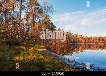 Lac en forêt profonde à l'automne d'arbres feuillage vibrant reflet dans l'eau encore Banque D'Images