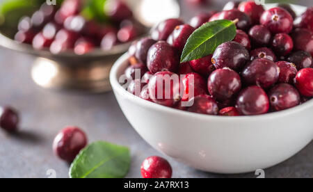 Canneberges frais mûrs dans un bol sur la table close-up Banque D'Images