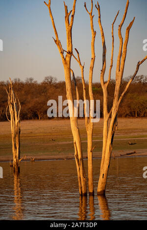 -Le lac Kariba au Zimbabwe et en Zambie Banque D'Images