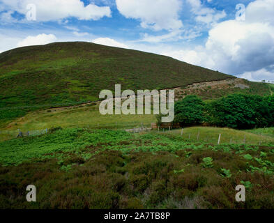 Voir NE d'Offa's Dyke Path en marche entre deux brouettes de ronde de l'âge du Bronze sur les pentes de Moel N y Plas W de Llanarmon yn ial, Denbighshire, Wales, UK Banque D'Images