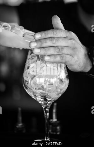 gin tonique avec rhubarbe fraîche Banque D'Images