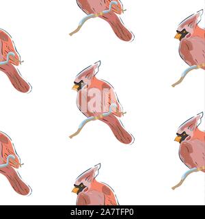 Avec motif transparent rouge cardinal d'oiseaux sur fond blanc. Vector illustration Illustration de Vecteur