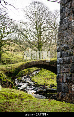 Un viaduc ferroviaire à Cowgill, près de Ribblehead, dans Dentdale Yorkshire du Nord, parc national. Banque D'Images