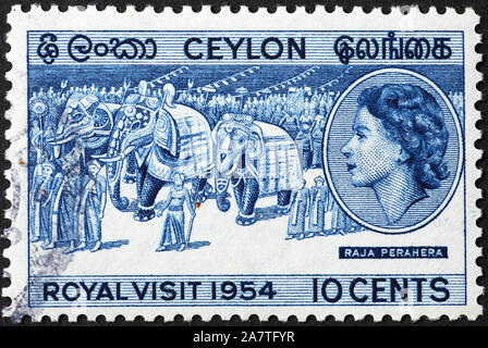 Elephant parade sur des timbres anciens de Ceylan Banque D'Images