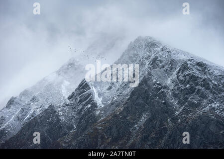 De superbes images de paysage détail de sommets Pen An Wen Ole en montagne au cours de Snowdonia tempête hivernale spectaculaire avec des oiseaux de haut vol au-dessus Banque D'Images