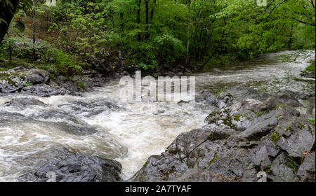 Hot Springs, Arkansas River rapids après la pluie au printemps Banque D'Images