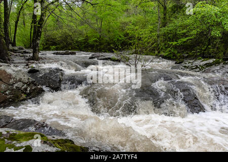 Les rivières au printemps dans les monts Ozark - Arkansas Banque D'Images