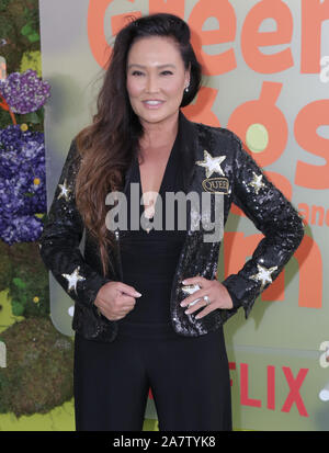 3 novembre 2019, USA : 03 novembre 2019 - Los Angeles, Californie - Tia Carrere. Création de ''Green Eggs and Ham'' de Netflix à la Hollywood American Legion. Crédit photo : PMA/AdMedia Banque D'Images