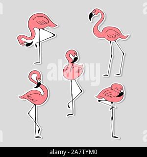 Ensemble d'autocollants avec flamant rose dessiné à la main. Collection d'étiquettes avec des oiseaux cute cartoon isolé sur fond gris. Vector illustration. Illustration de Vecteur