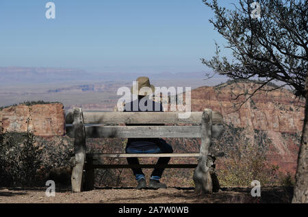 Surplombant le Grand Canyon Banque D'Images