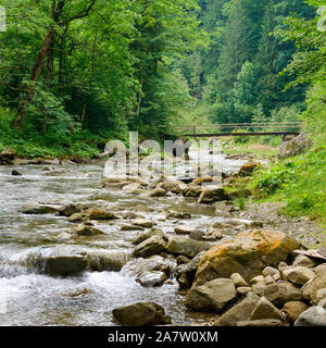 Pont de bois dans la rivière de montagne. Paysage des Carpates. Banque D'Images