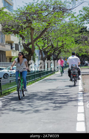 Tel Aviv, Israël - 10 mai 2017 : les populations locales sont à vélo dans le parc Boulevard Rothschild à Tel Aviv Centre. Banque D'Images