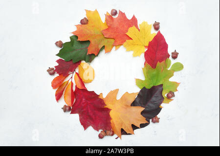 Les feuilles d'automne couronne du châssis. Éléments de l'automne avec place pour votre texte sur fond blanc. Décor pour la conception de l'action de grâces Banque D'Images