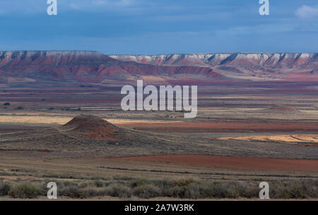 Paysage coloré dans la réserve ornithologique de El Planerón junte, Aragón, Espagne Banque D'Images