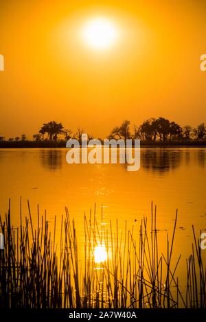 Paysage de rivière dans le Delta de l'Okavango au coucher du soleil, Moremi, Ngamiland, Botswana Banque D'Images