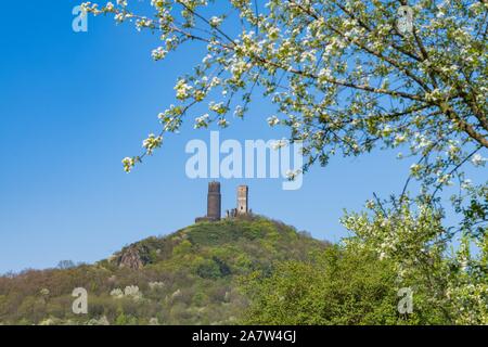 Hazmburk est un remarquable ruine d'un château fort gothique près de Klapy village. Les ruines sont protégées en tant que monument culturel de la République tchèque Banque D'Images