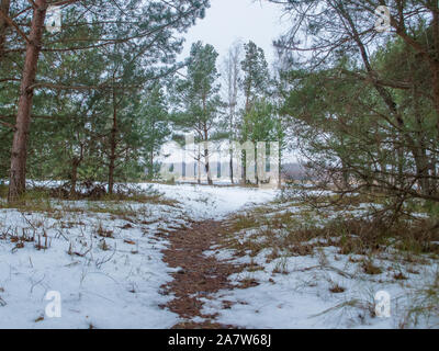 Ligne de côte Lielupe debouchment à mer Baltique après tempête avec des arbres tombés durant le gel de l'hiver avec des tons gris et ciel nuageux Banque D'Images