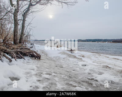 Ligne de côte Lielupe debouchment à mer Baltique après tempête avec des arbres tombés durant le gel de l'hiver avec des tons gris et ciel nuageux Banque D'Images