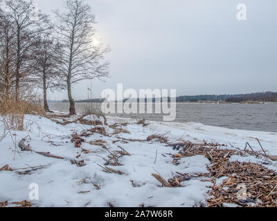 Ligne de côte Lielupe debouchment à mer Baltique après tempête avec des arbres tombés durant le gel de l'hiver avec des tons gris et ciel nuageux Banque D'Images