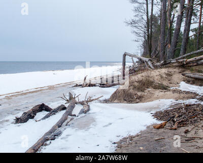 Ligne de côte Lielupe debouchment à mer Baltique après tempête avec des arbres tombés durant le gel de l'hiver avec des tons gris et ciel nuageux Banque D'Images