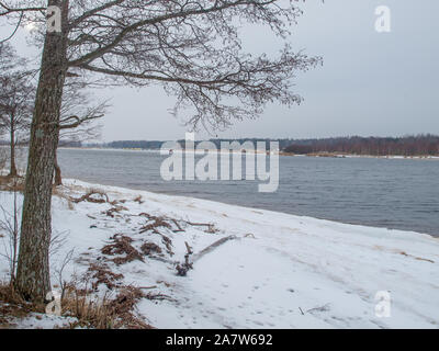 Ligne de côte Lielupe debouchment à mer Baltique après tempête avec des arbres tombés durant le gel de l'hiver avec des tons gris et ciel nuageux Banque D'Images