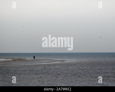 Les oiseaux voleront dans debouchment Lielupe ligne de côte de la mer Baltique à après la tempête durant le gel de l'hiver avec des tons gris et ciel nuageux Banque D'Images