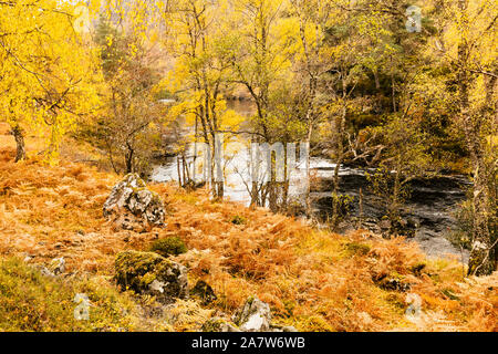 Glen Strathfarrar colorés à l'automne ou à l'automne avec la rivière Farrar fonctionnant par les Glen. Feuillage automne coloré. Paysage. L'espace pour copier Banque D'Images