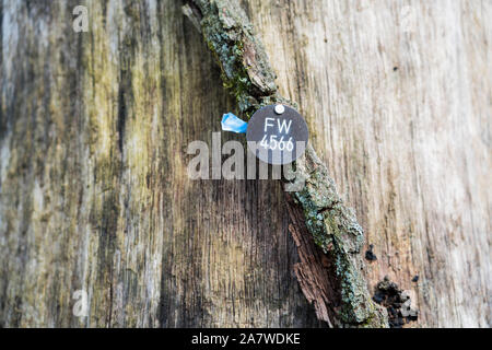 Un enterrement naturelles tombe, Warburg, Weser Uplands, Thuringe, Hesse, Germany, Europe Banque D'Images