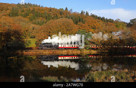 42073 chefs loin de Lakeside et longe la rivière Leven au bord du lac & Haverthwaite que chemin de fer. Banque D'Images