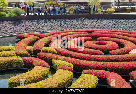 LOS ANGELES, CALIFORNIE - Mai 2009 : couverture en couleur en forme de Robert Irwin's Jardin Central au Getty Center Banque D'Images