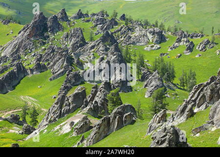 Paysage de la 'forêt' de granit sur le pâturage à Burqin county, Altay, préfecture du nord-ouest de la Chine La région autonome du Xinjiang Uygur, 26 juin 2 Banque D'Images