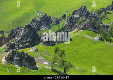 Paysage de la 'forêt' de granit sur le pâturage à Burqin county, Altay, préfecture du nord-ouest de la Chine La région autonome du Xinjiang Uygur, 26 juin 2 Banque D'Images