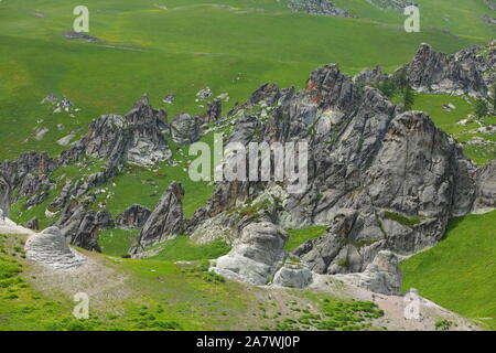 Paysage de la 'forêt' de granit sur le pâturage à Burqin county, Altay, préfecture du nord-ouest de la Chine La région autonome du Xinjiang Uygur, 26 juin 2 Banque D'Images