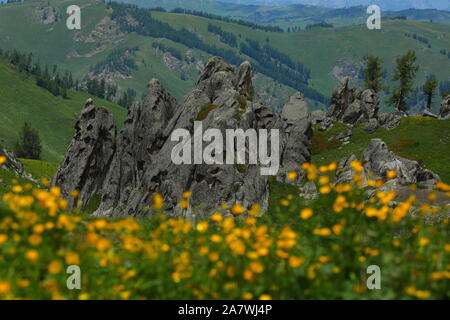 Paysage de la 'forêt' de granit sur le pâturage à Burqin county, Altay, préfecture du nord-ouest de la Chine La région autonome du Xinjiang Uygur, 26 juin 2 Banque D'Images