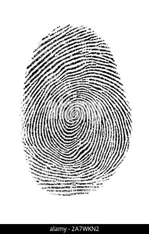 Fingerprint isolé sur fond blanc Banque D'Images