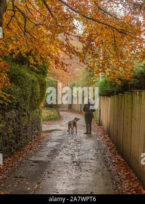 Un homme promène son chien dans Ladderbanks Lane Baildon, Yorkshire. Banque D'Images