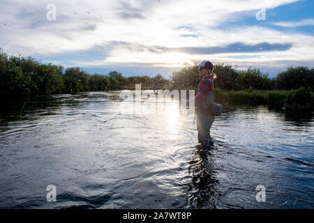 Une femme au cours de la pêche brown drake berline, Silver Creek River Idaho Banque D'Images