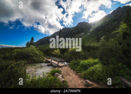 Sentier de randonnée pédestre avec pont de bois sur Creek dans le cadre de pics de montagne en plein soleil Banque D'Images