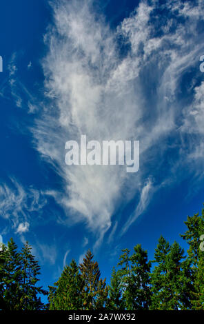 Une image verticale d'un sombre ciel bleu avec des nuages blancs par flottant dans des régions rurales de l'Alberta, Canada. Banque D'Images