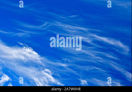 Un ciel bleu profond avec Cirrus Fibratus nuages blanc, flottant dans les régions rurales de l'Alberta par le Canada. Banque D'Images
